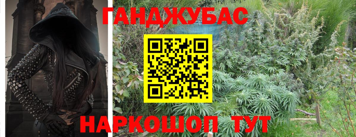 Бошки Шишки тримм Владимир